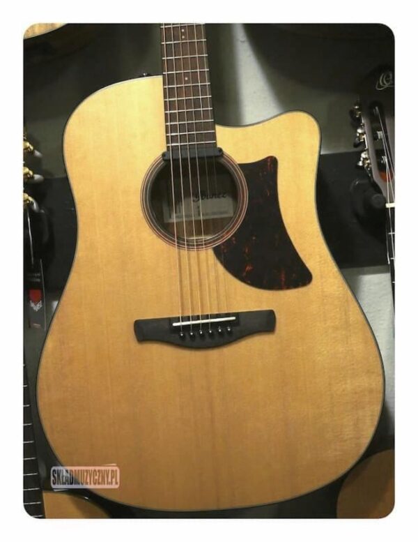 Ibanez AAD170CE-LGS | Gitara elektro-akustyczna