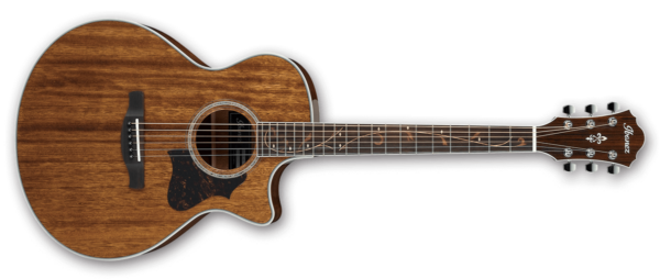 Ibanez AE245-NT
