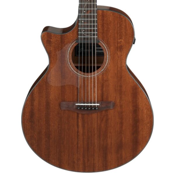 Ibanez AE295L-LGS ][ Leworęczna gitara elektro-akustyczna