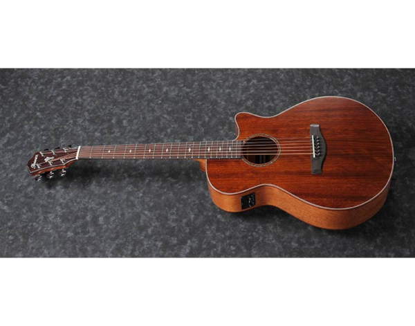 Ibanez AEG220 LGS - Gitara Eletroakustyczna0