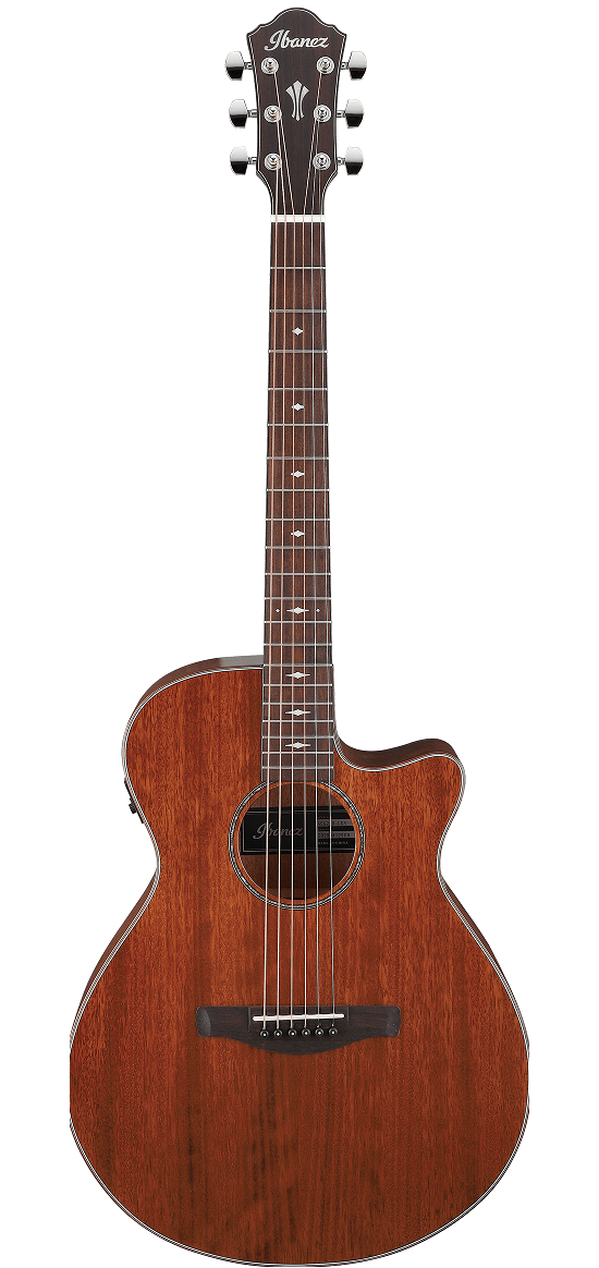 Ibanez AEG220 LGS - Gitara Eletroakustyczna