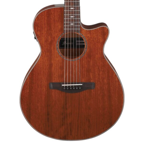 Ibanez AEG220-LGS ][ Gitara elektro-akustyczna