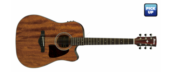Ibanez AW54CE-OPN