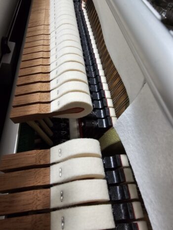 Kawai Marchen No.200 (エレアコ仕様) Kawai Marchen No.200 (エレアコ仕様)