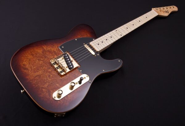 Michael Kelly Custom Collection 50 Burl Burst | Gitara elektryczna0