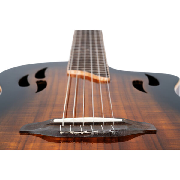 Ortega RTPDLX-ACA TourPlayer DeLuxe ][ Gitara elektro-klasyczna0
