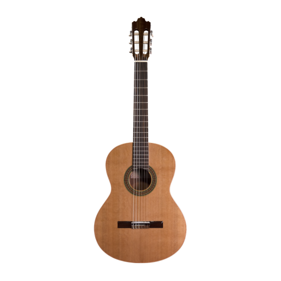 Prodipe Guitars Recital 200 4/4 - gitara klasyczna