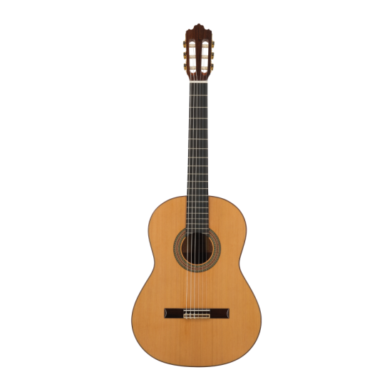Prodipe Guitars Soloist 900 4/4 - gitara klasyczna