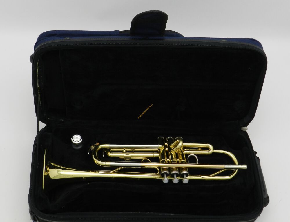 Zestaw instrumentów dętych (saksofon, trąbka, puzon)1 Zestaw instrumentów dętych (saksofon, trąbka, puzon)1