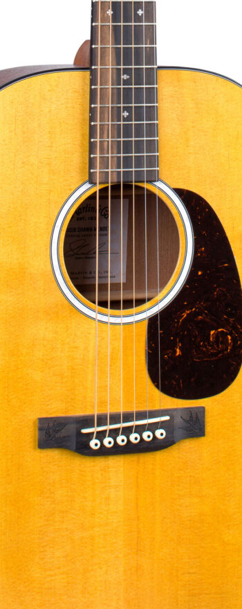 Gitara elektroakustyczna Martin 000JRE Shawn Mendes - Vibe
