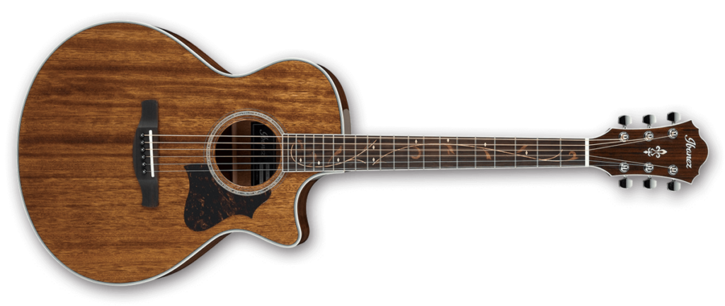 Ibanez AE245-NT