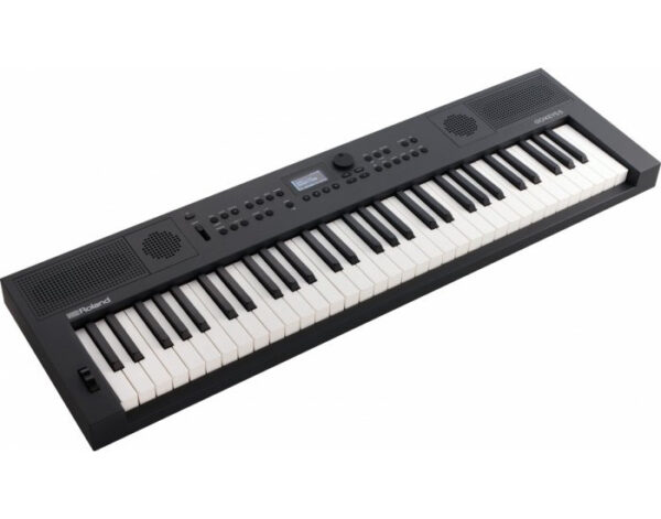 ROLAND GO:KEYS 5 GT Graphite - keyboard-syntezator0