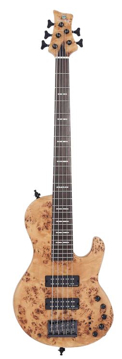 Marcus Miller F10-5