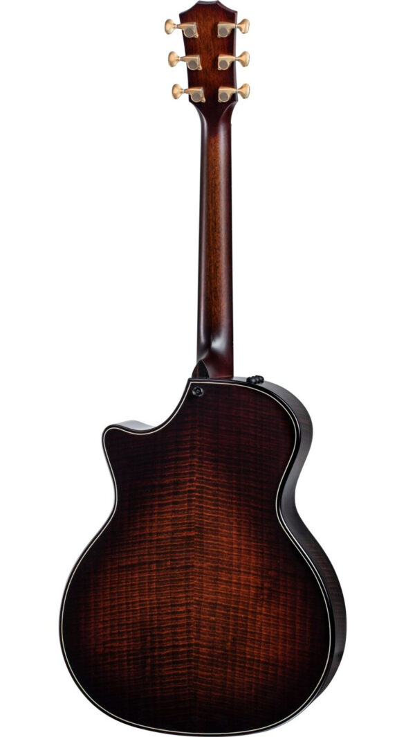 Taylor Builder's Edition 324ce,V-Class - gitara elektroakustyczna0
