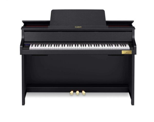 CASIO GP-310 BK0