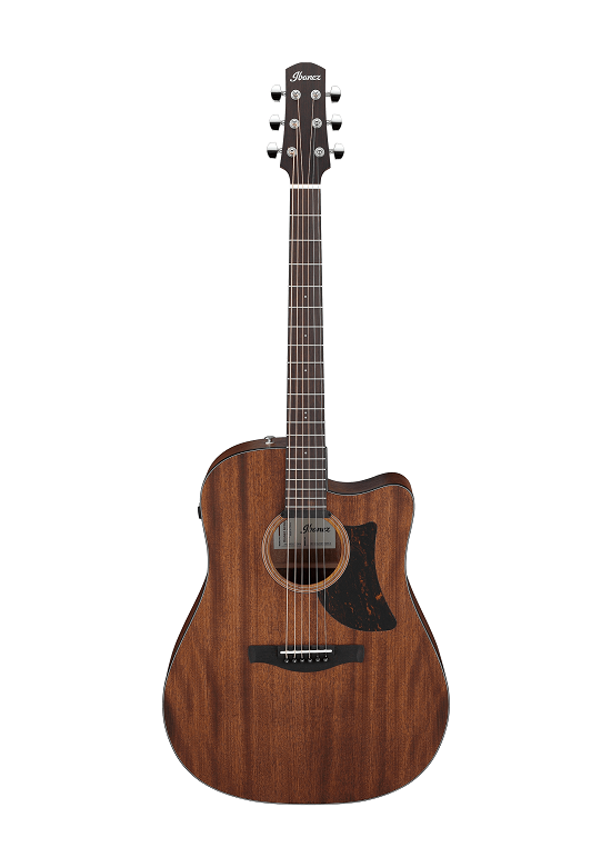 Ibanez AAD190CE OPN