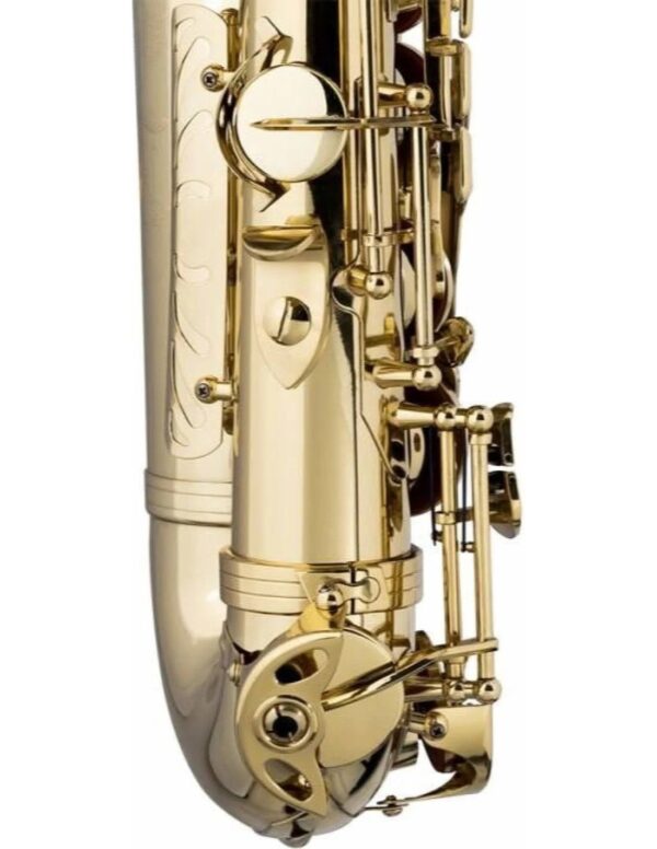 Stagg WS-AS215S - Saksofon Eb z pokrowcem0