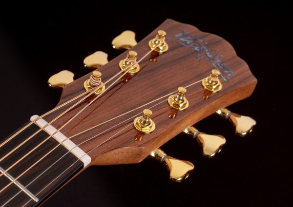 WASHBURN BTS 24 S (N) gitara akustyczna0