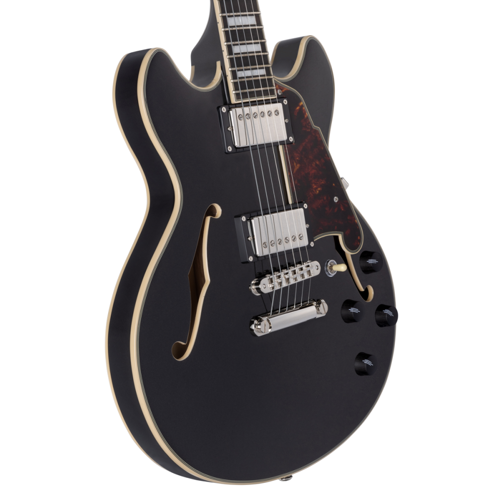 D'Angelico Premier Mini DC Black Flake - gitara elektryczna1 D'Angelico Premier Mini DC Black Flake - gitara elektryczna1