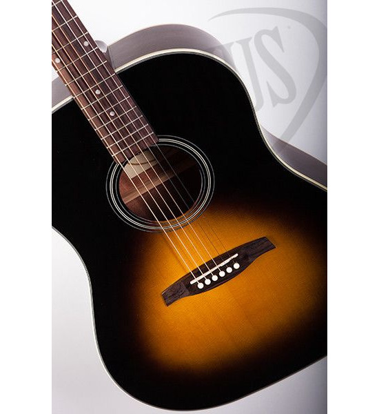 Levinson Canyon Medina LJ-223 VSEA - gitara elektroakustyczna gitara elektroakustyczna0
