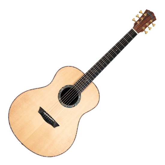 WASHBURN BTS 24 S (N) gitara akustyczna