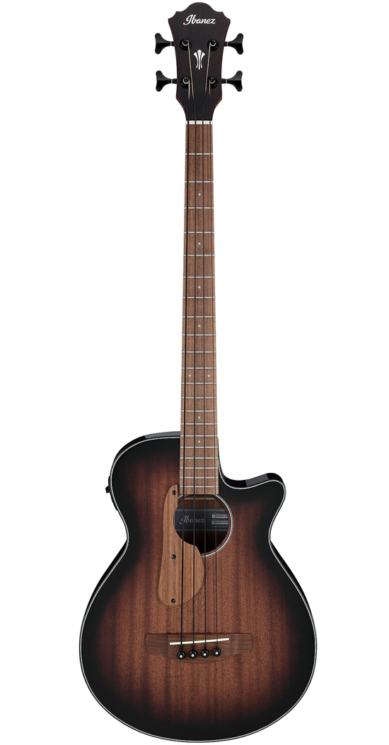 Ibanez AEGB24E MHS