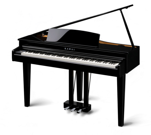 KAWAI DG30