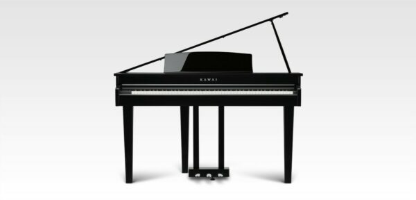 KAWAI DG300