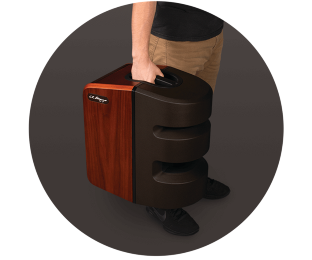 L.R. Baggs Synapse PA2 L.R. Baggs Synapse PA2