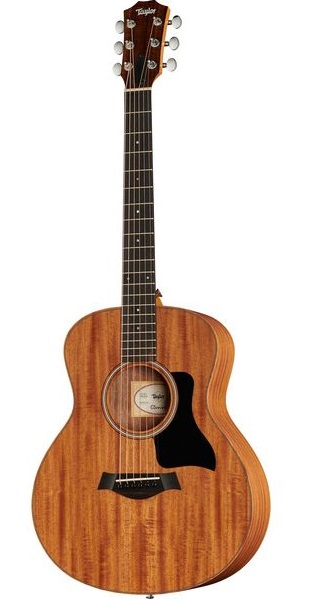 Taylor GS Mini Mahogany