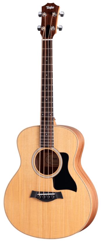 Taylor GS Mini-e Bass