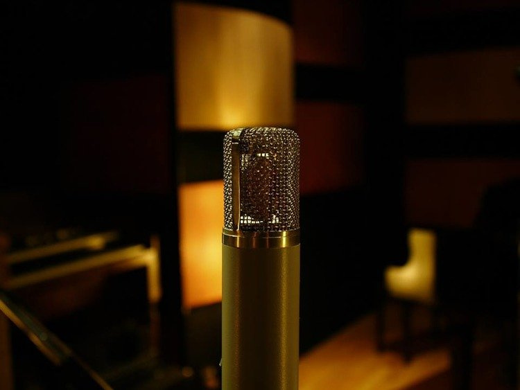 Telefunken Elektroakustik C125 Telefunken Elektroakustik C125