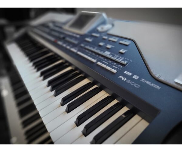 KORG PA8000