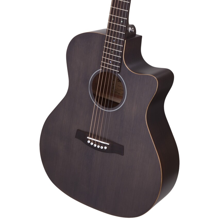 Schecter Deluxe Acoustic - Gitara akustyczna1 Schecter Deluxe Acoustic - Gitara akustyczna1