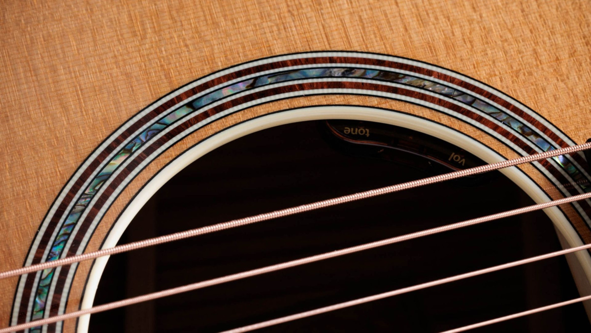 Taylor Gold Label 814e - gitara elektroakustyczna4 Taylor Gold Label 814e - gitara elektroakustyczna4