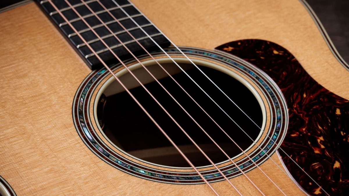 Taylor Gold Label 814e - gitara elektroakustyczna6 Taylor Gold Label 814e - gitara elektroakustyczna6