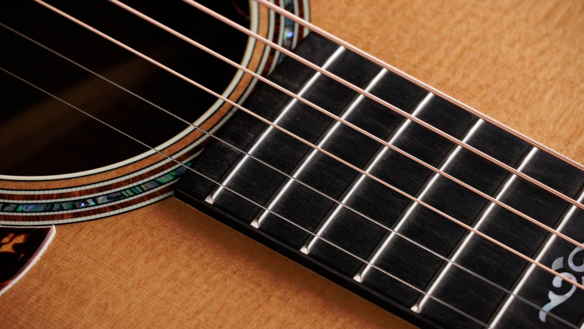 Taylor Gold Label 814e - gitara elektroakustyczna2 Taylor Gold Label 814e - gitara elektroakustyczna2