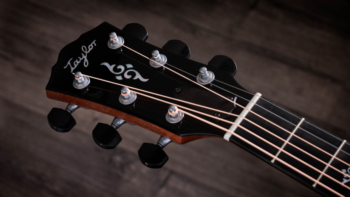 Taylor Gold Label 814e - gitara elektroakustyczna8 Taylor Gold Label 814e - gitara elektroakustyczna8