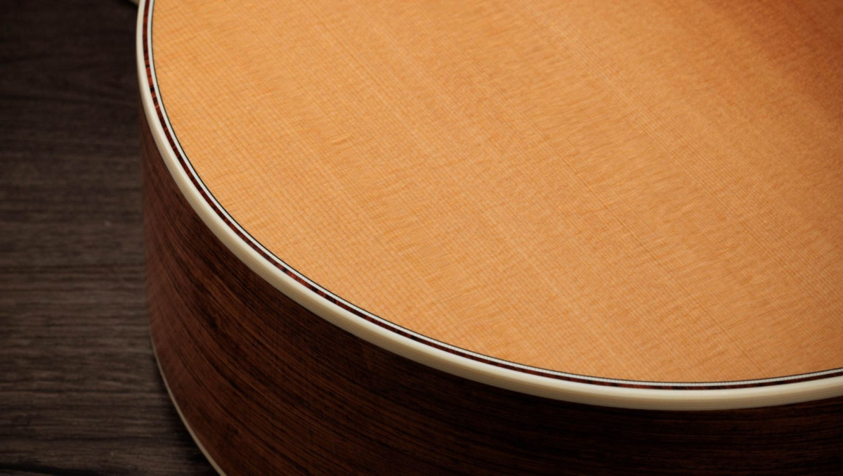 Taylor Gold Label 814e - gitara elektroakustyczna3 Taylor Gold Label 814e - gitara elektroakustyczna3