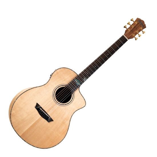 WASHBURN BTS C56 SCE (N) gitara elektroakustyczna