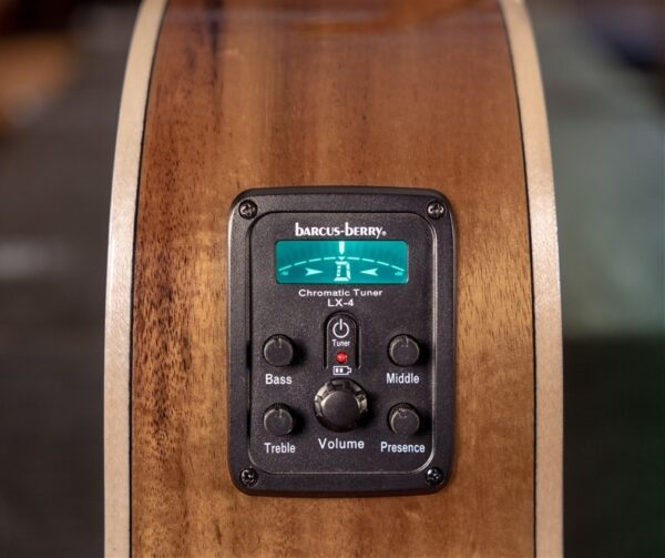 WASHBURN BTS C56 SCE (N) gitara elektroakustyczna0