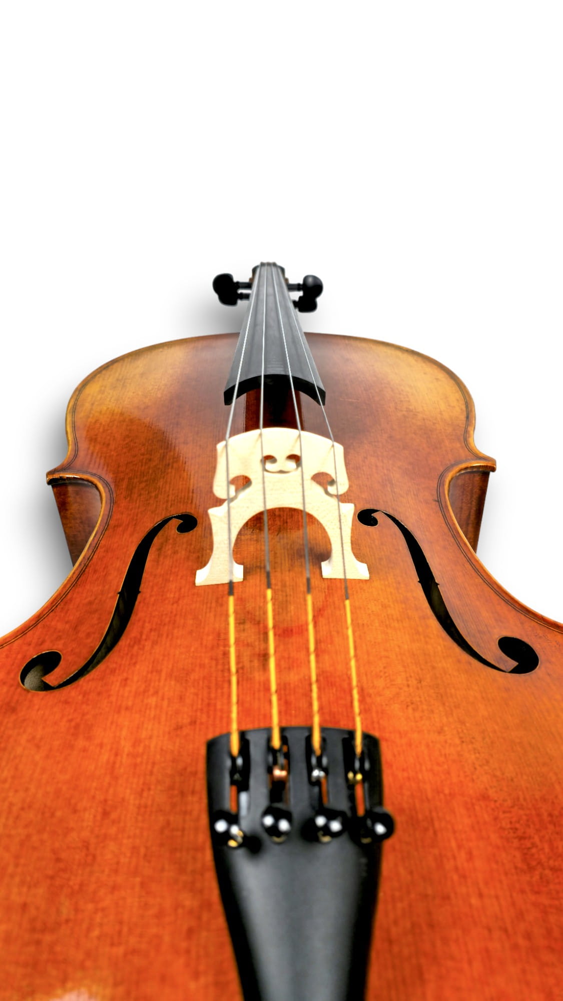 Wiolonczela lutnicza 4/4 Południowe Lutnictwo Virtuoso Select5 Wiolonczela lutnicza 4/4 Południowe Lutnictwo Virtuoso Select5