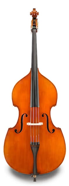 ANDREAS EASTMAN model 928 Raúl Emiliani kontrabas 3/4, forma skrzypcowa