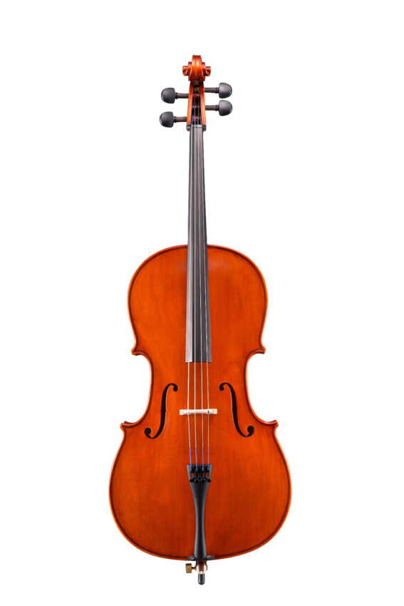 ANDREAS EASTMAN wiolonczela model 150 Samuel Eastman, rozmiar 4/4