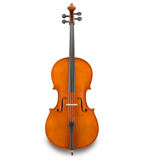 ANDREAS EASTMAN wiolonczela model 25044SBC