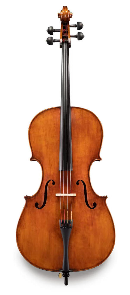 ANDREAS EASTMAN wiolonczela model 830PG Samuel Eastman, rozmiar 4/4