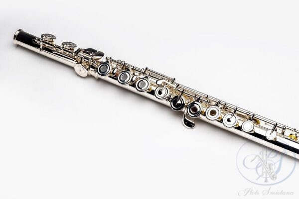 Flet Thore TFL 100 FCO posrebrzany klapy zamknięte - wypożyczenie0