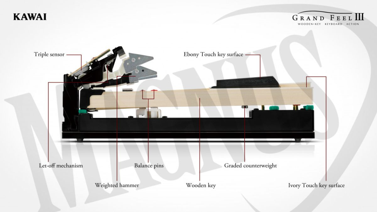 Kawai CA-701 EP pianino cyfrowe1 Kawai CA-701 EP pianino cyfrowe1