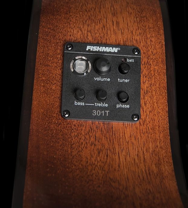 WASHBURN WLO 12 SE (N)2 WASHBURN WLO 12 SE (N)2