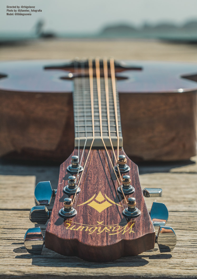 WASHBURN WLO 12 SE (N)6 WASHBURN WLO 12 SE (N)6